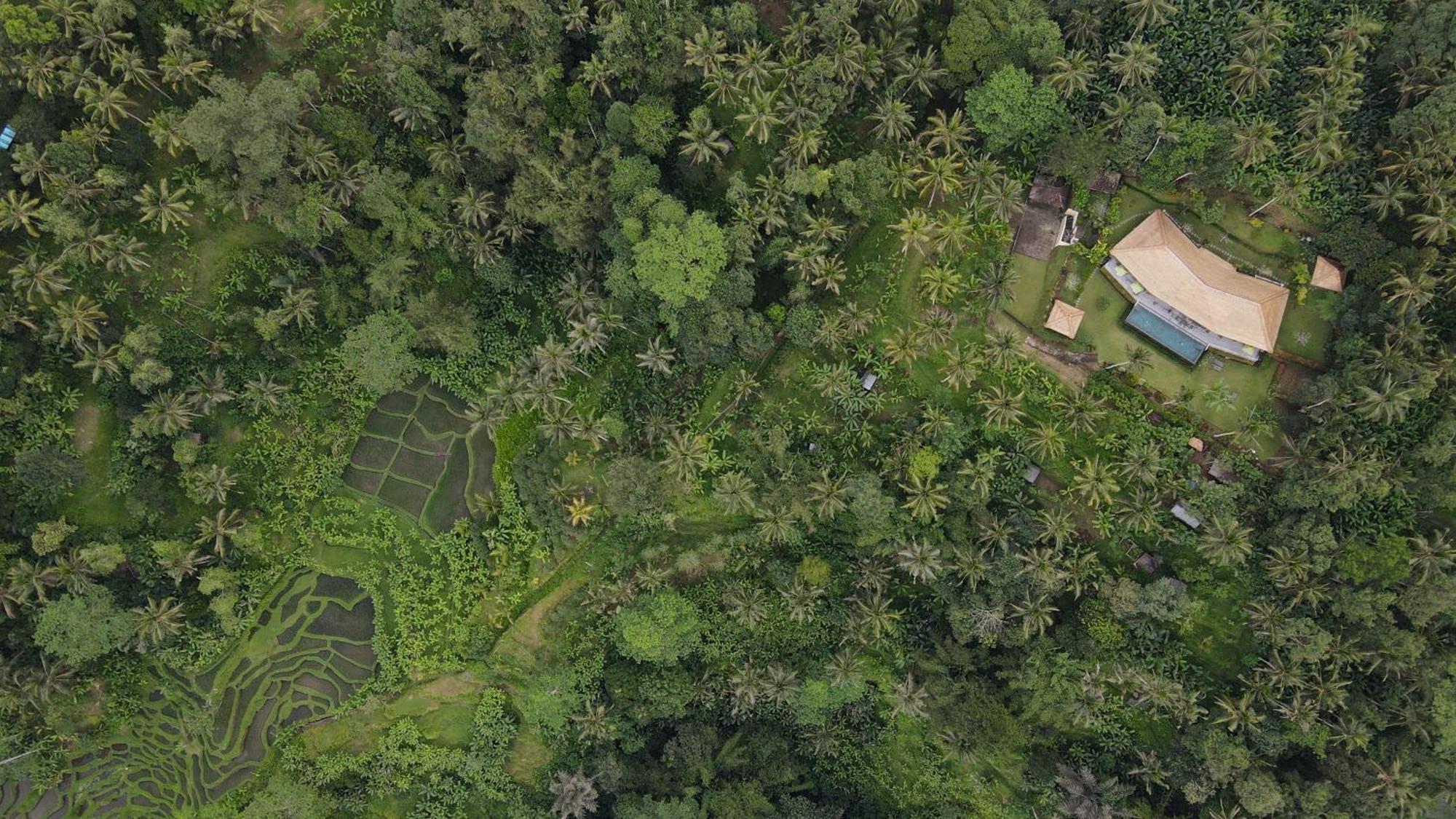Themma Jungle - Sumptuous 3br Luxury With Majestic Jungle View North Of Ubud