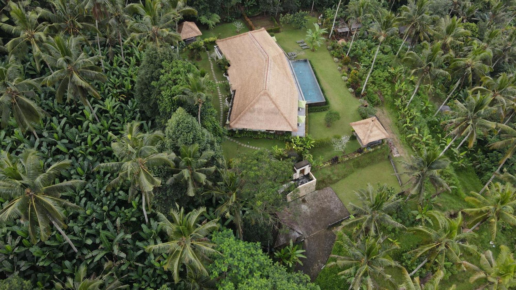Themma Jungle - Sumptuous 3br Luxury With Majestic Jungle View North Of Pousada