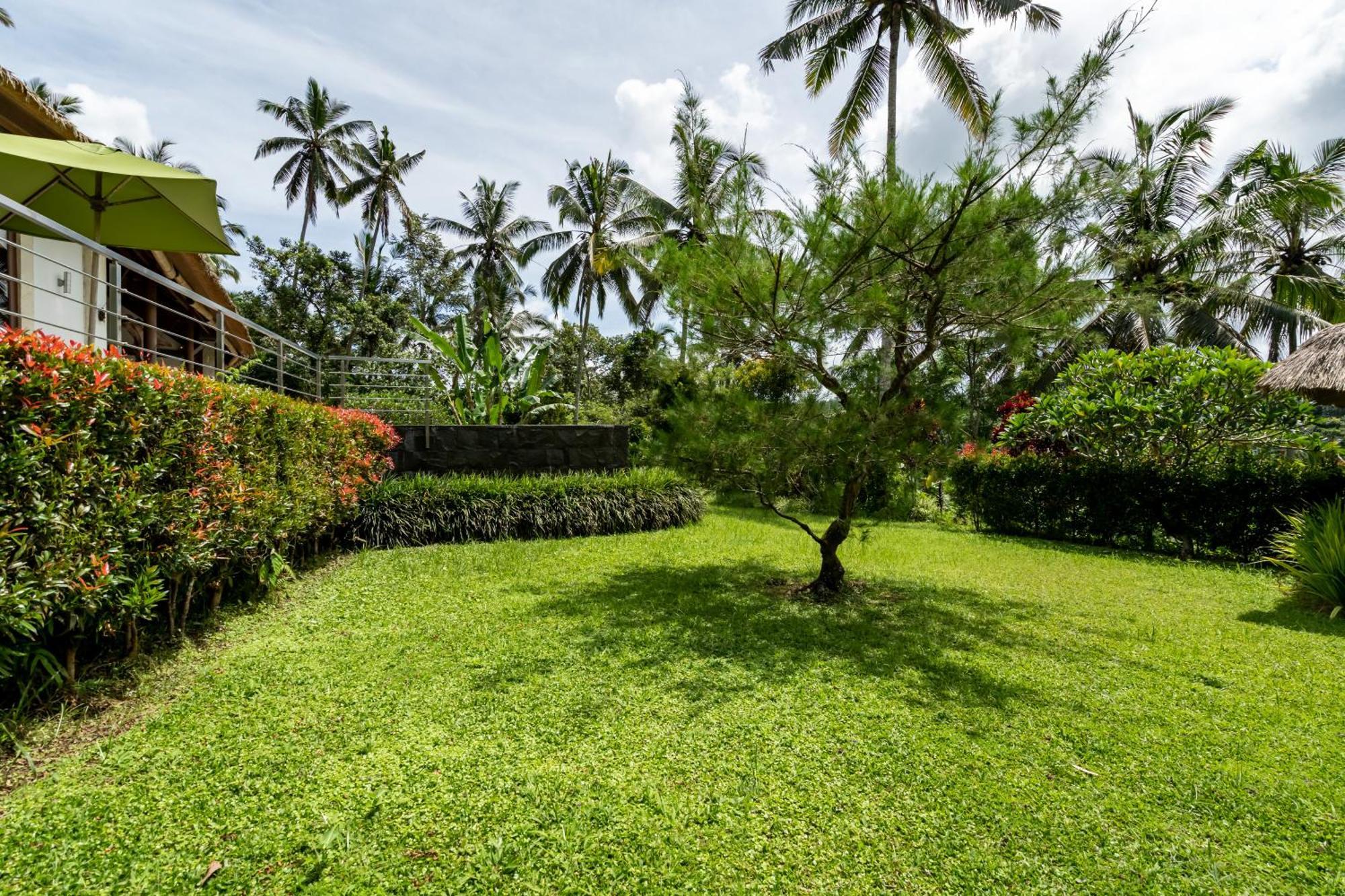 Themma Jungle - Sumptuous 3br Luxury With Majestic Jungle View North Of Pousada
