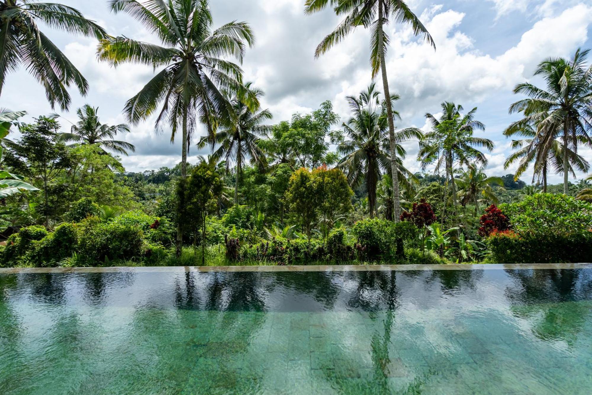 Pousada Themma Jungle - Sumptuous 3br Luxury With Majestic Jungle View North Of *