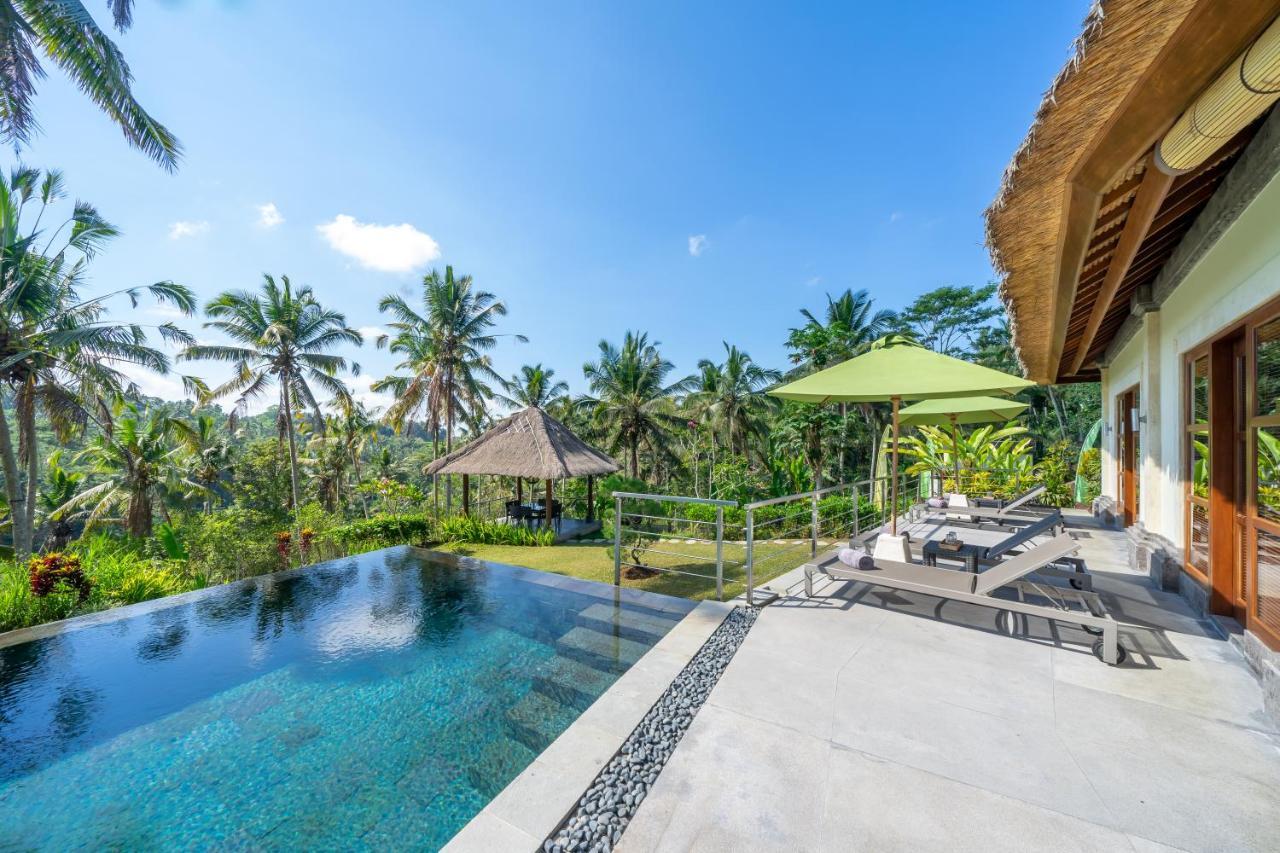 Themma Jungle - Sumptuous 3br Luxury With Majestic Jungle View North Of Pousada *